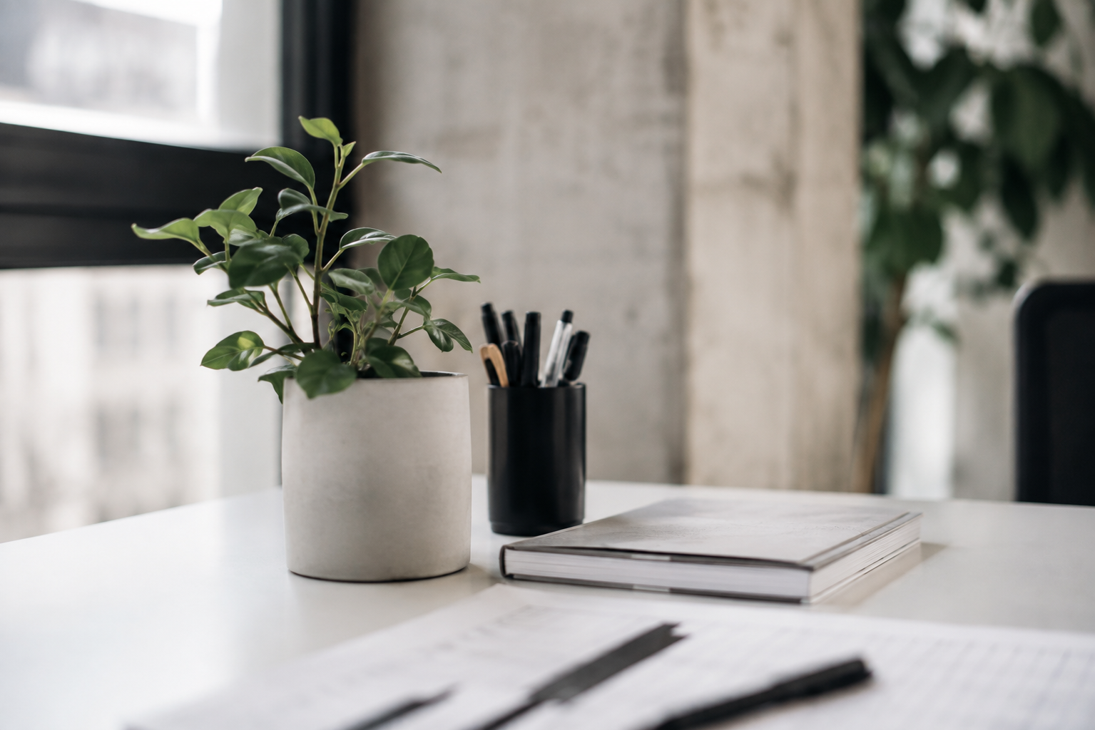 Detailaufnahme eines Arbeitsplatzes mit Pflanze, Stiften und Notizbuch – Business-Detailfoto aus dem Fotokurs Auftragsfotografie