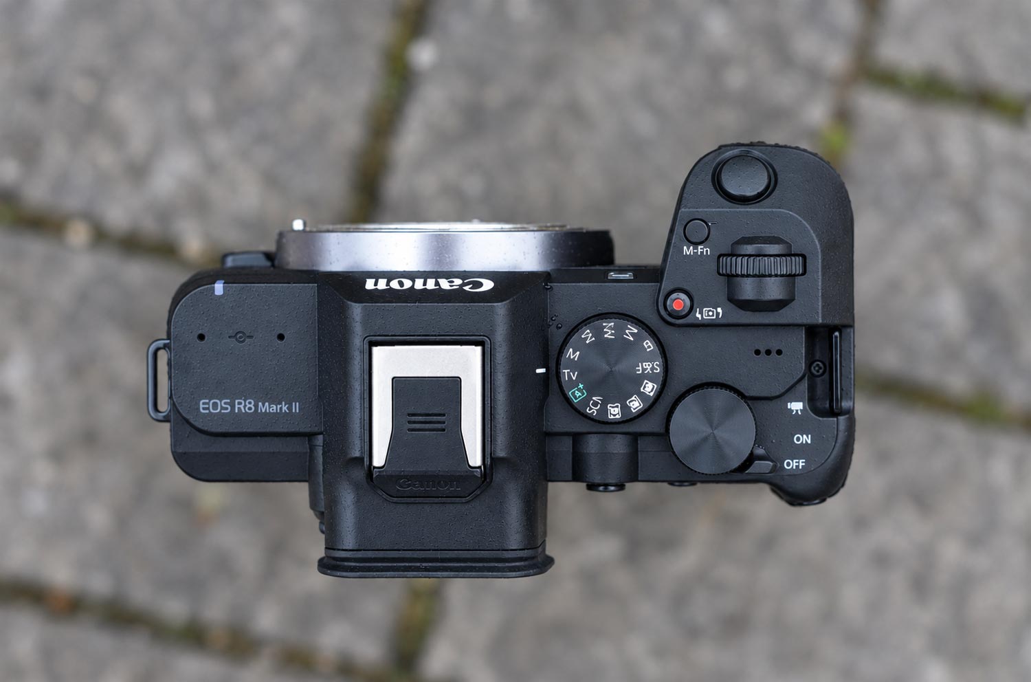 Canon EOS R8 Mark II gegen EOS R8: die Unterschiede für Fotografen