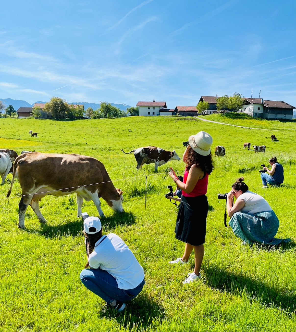 Case Study Berchtesgadener Molkerei · Bergbauernmilch