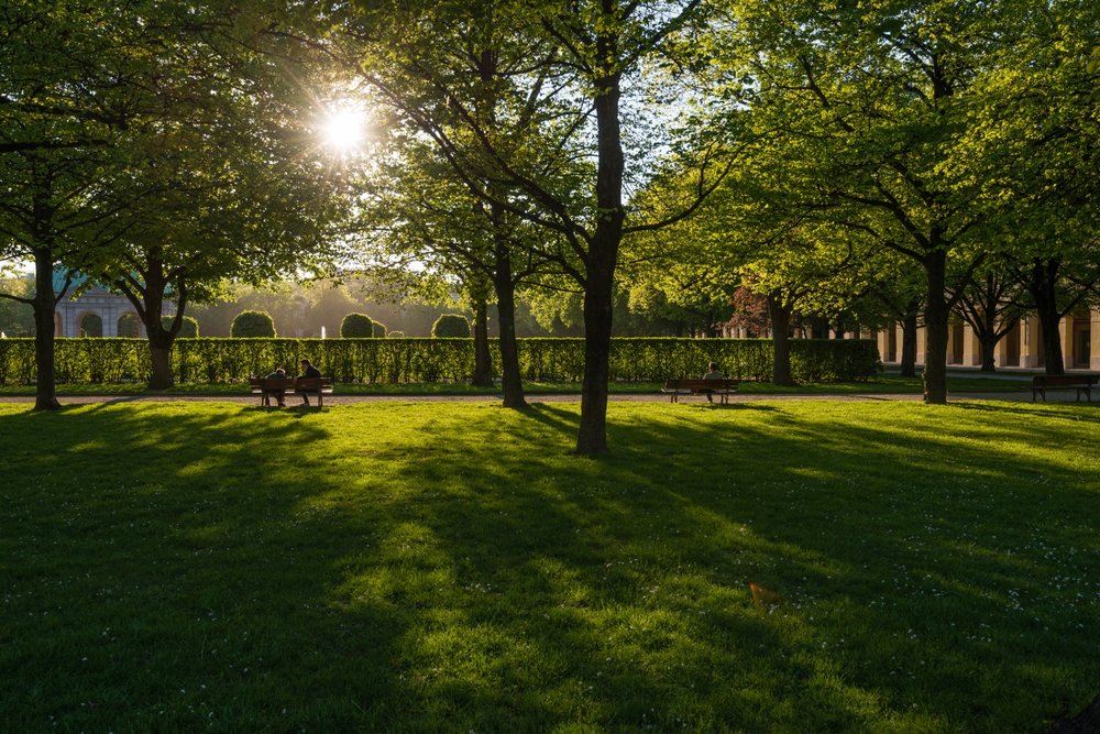 Hofgarten München im goldenen Abendlicht