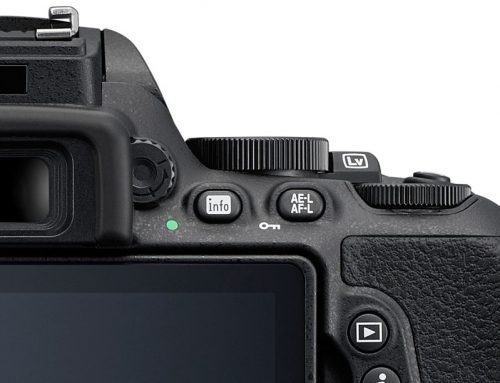 Nikon TIPP: 1. Verwendung der Funktionstaste AE-L / AF-L