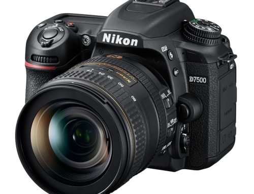 Menü Grundeinstellungen der Nikon D7500