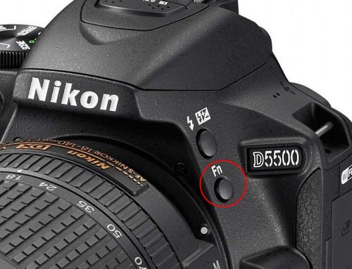 Nikon TIPP: 2. Verwendung der Funktionstaste (Fn) D3500 und D5600