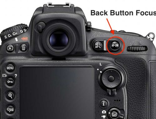 Back Button Focus – die flexible und treffsichere Fokus-Methode