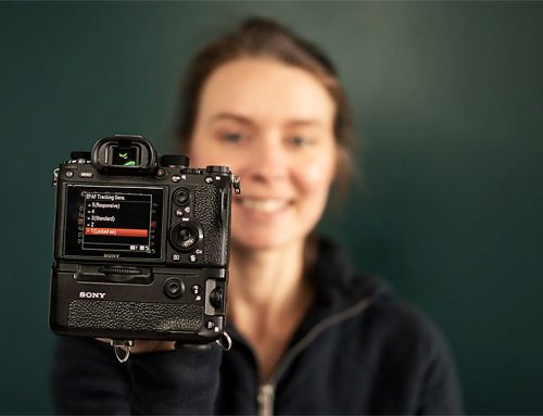 6 hilfreiche Einstellungen Sony a7 IV für Portraitfotografie
