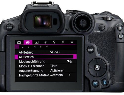 Canon R7 Autofokus Einstellungen